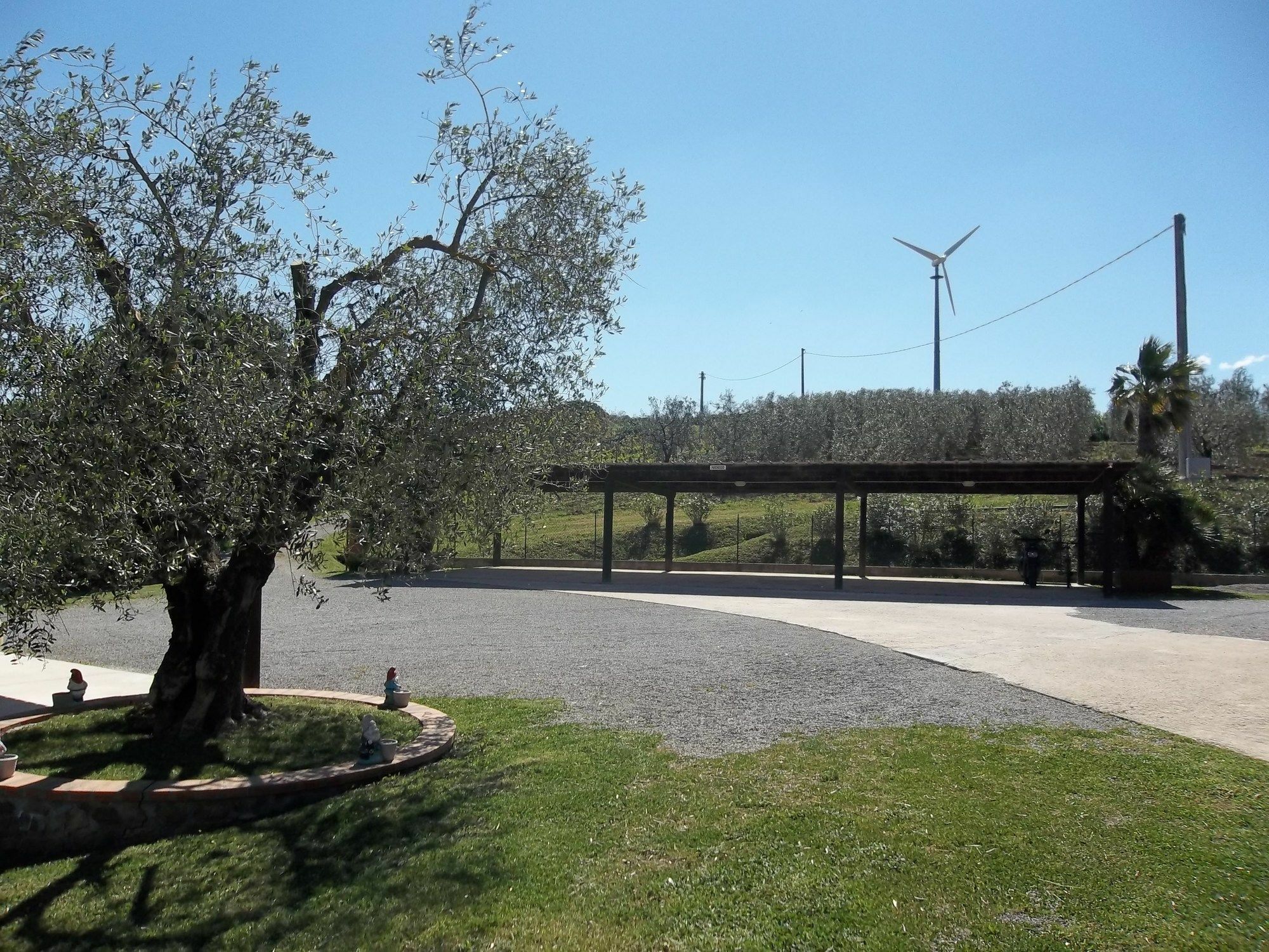 Agriturismo Galeazzi Манчиано Экстерьер фото